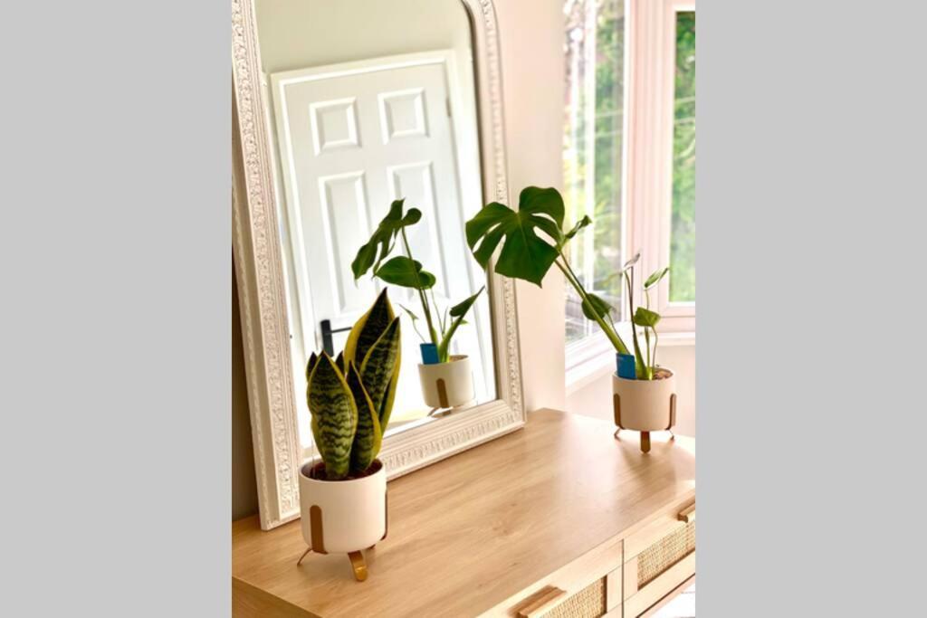 Cleveland House - Perfect For Beaches And Town. Борнмът Екстериор снимка